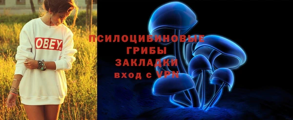 сатива Алзамай