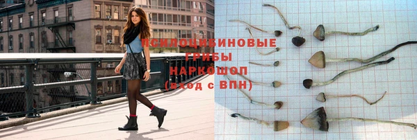 сатива Алзамай