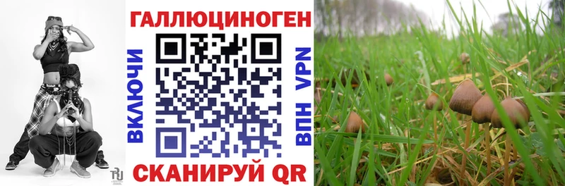хочу наркоту  kraken ONION  Галлюциногенные грибы мухоморы  Боготол 