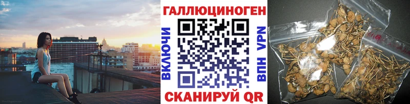 Галлюциногенные грибы MAGIC MUSHROOMS Боготол